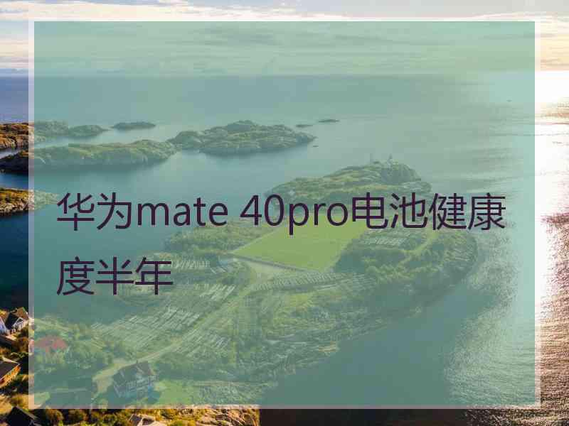 华为mate 40pro电池健康度半年