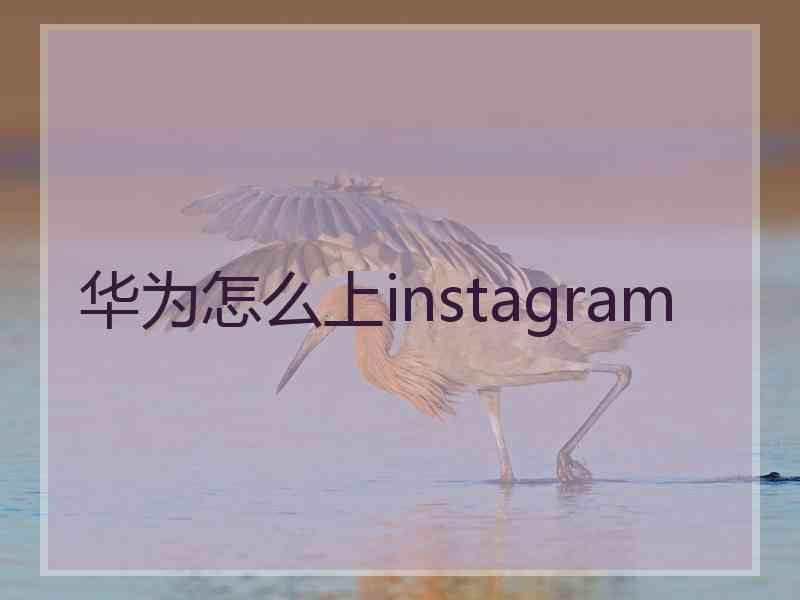 华为怎么上instagram