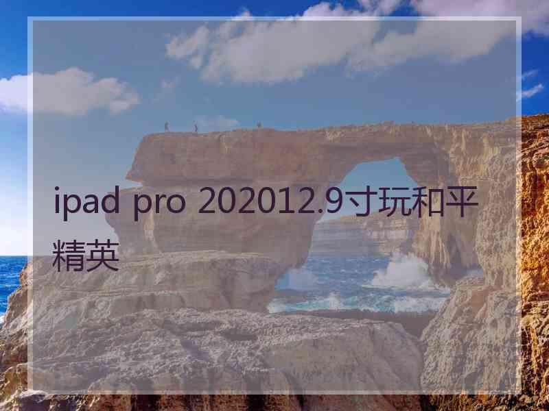 ipad pro 202012.9寸玩和平精英