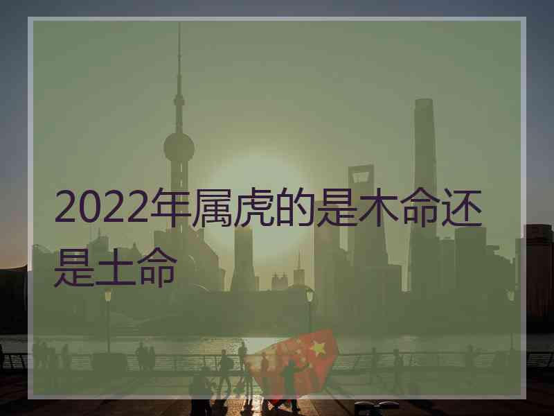 2022年属虎的是木命还是土命