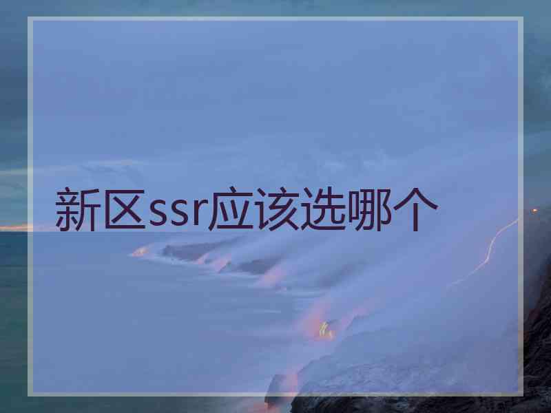 新区ssr应该选哪个