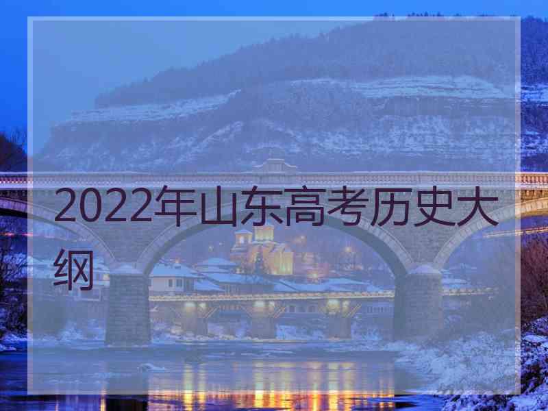 2022年山东高考历史大纲