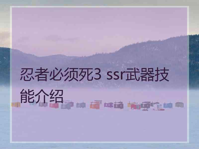 忍者必须死3 ssr武器技能介绍