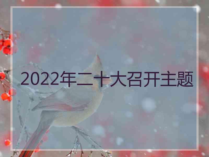 2022年二十大召开主题