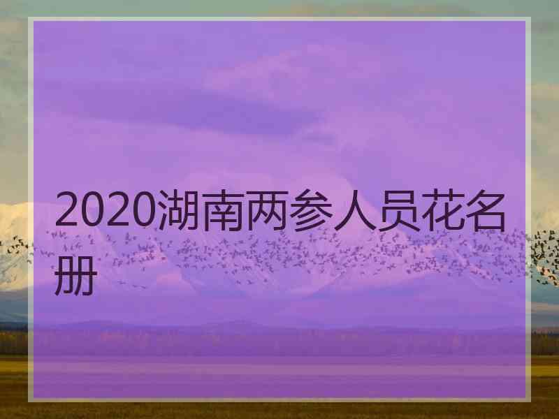 2020湖南两参人员花名册