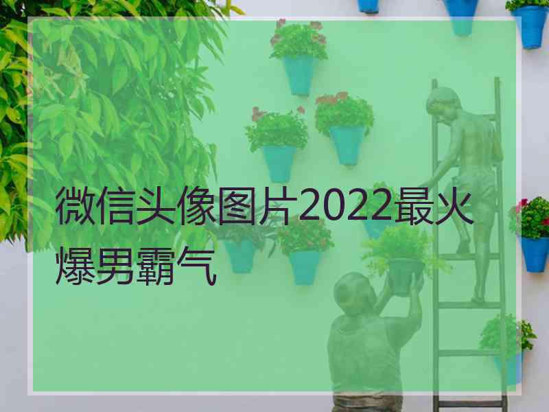 微信头像图片2022最火爆男霸气