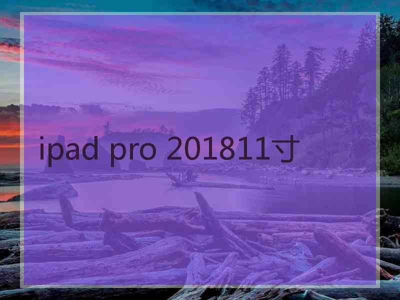 ipad pro 201811寸