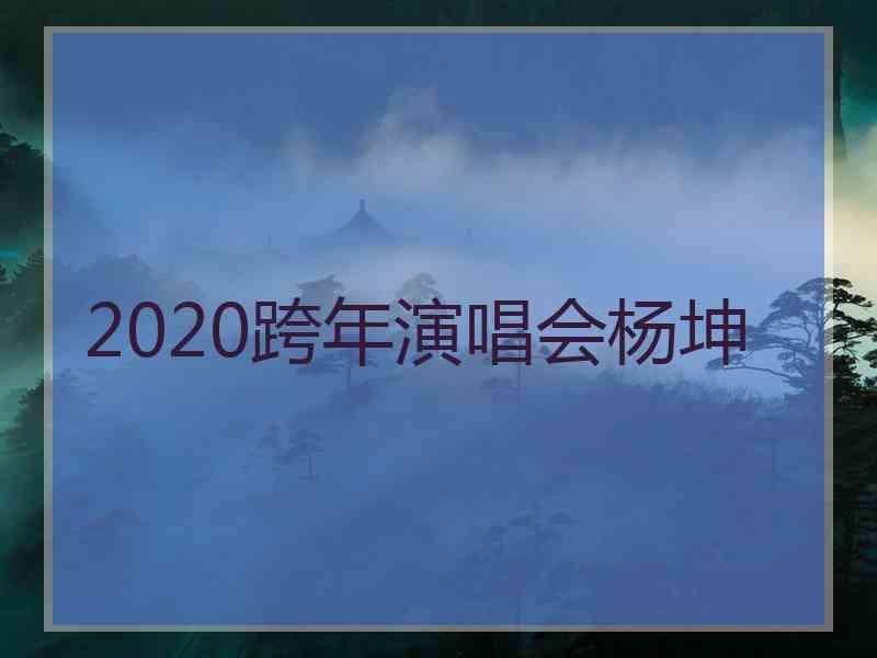 2020跨年演唱会杨坤