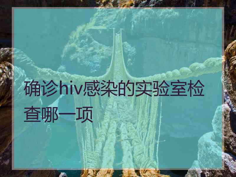 确诊hiv感染的实验室检查哪一项