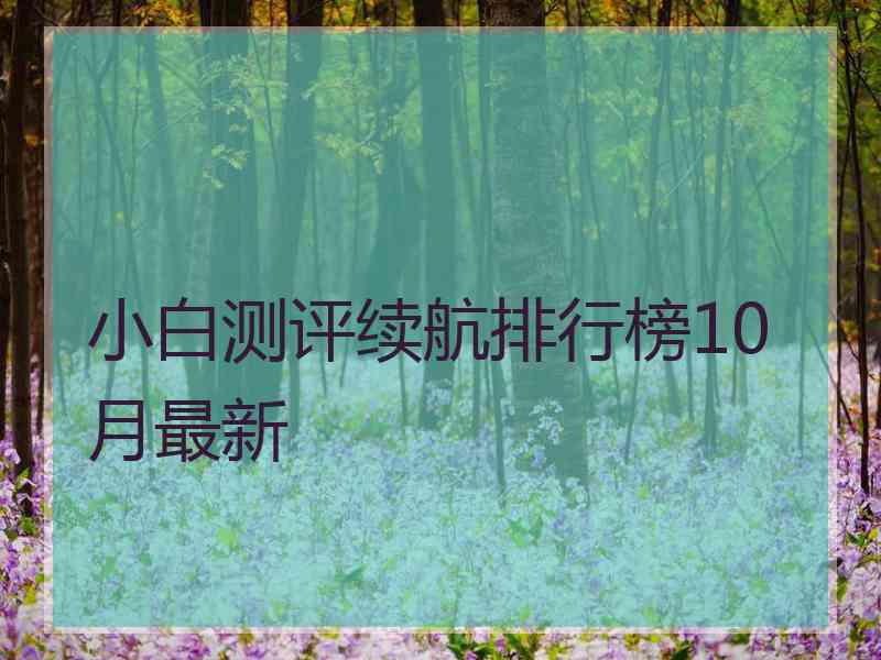 小白测评续航排行榜10月最新