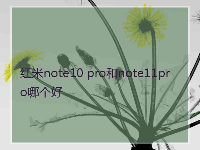 红米note10 pro和note11pro哪个好