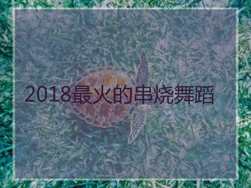 2018最火的串烧舞蹈