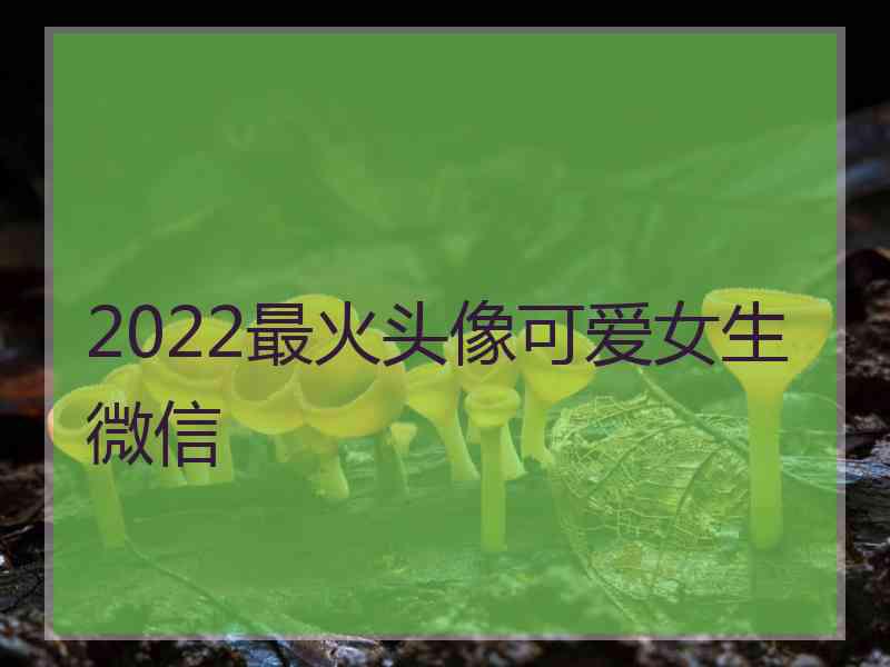 2022最火头像可爱女生微信