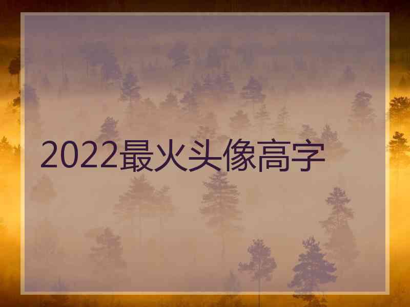 2022最火头像高字