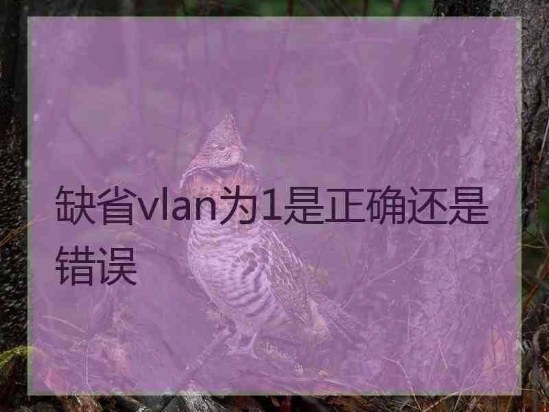 缺省vlan为1是正确还是错误