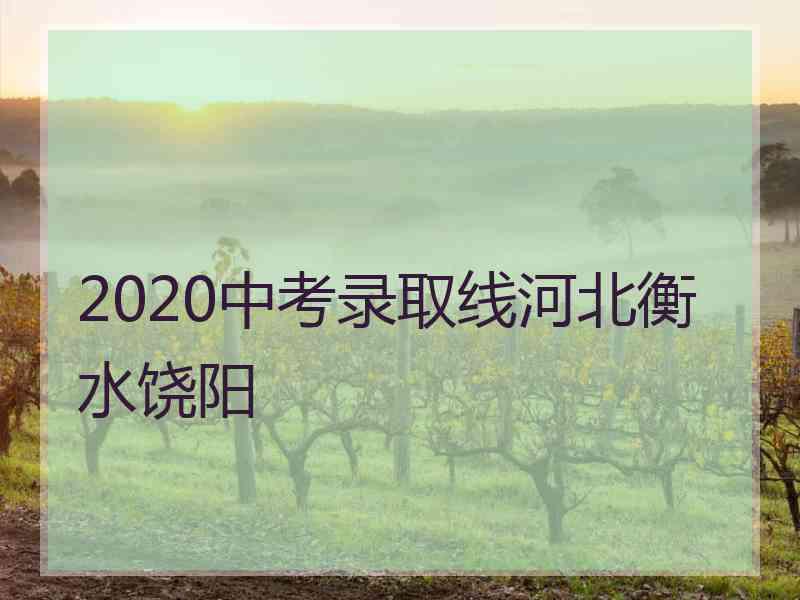 2020中考录取线河北衡水饶阳