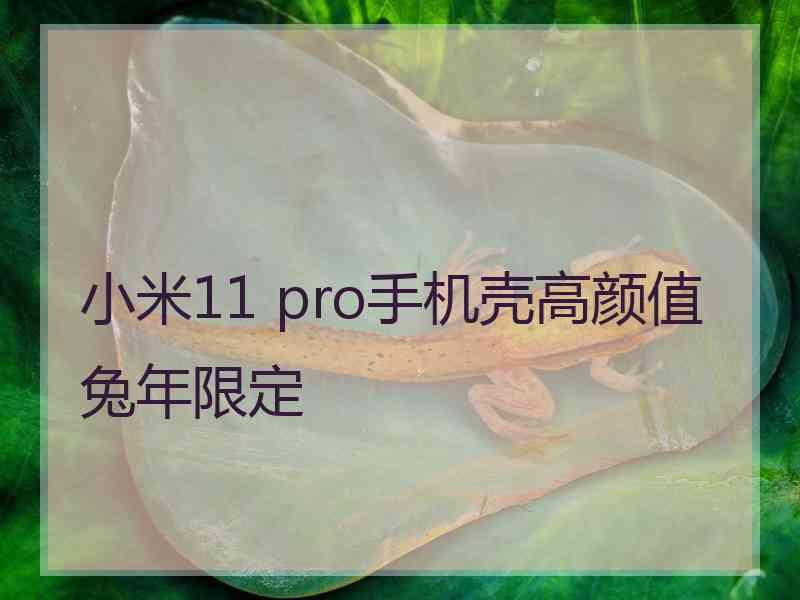 小米11 pro手机壳高颜值兔年限定