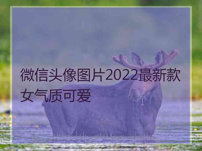 微信头像图片2022最新款女气质可爱