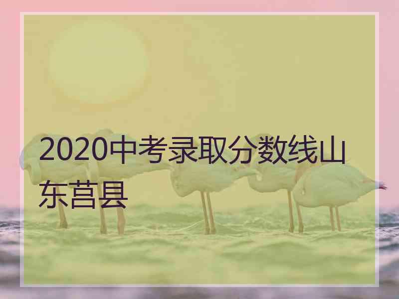 2020中考录取分数线山东莒县