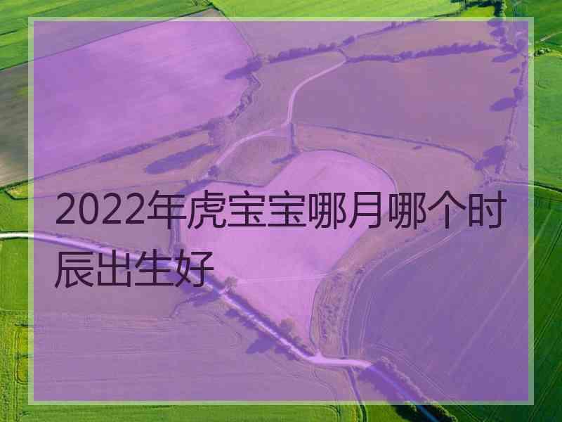 2022年虎宝宝哪月哪个时辰出生好