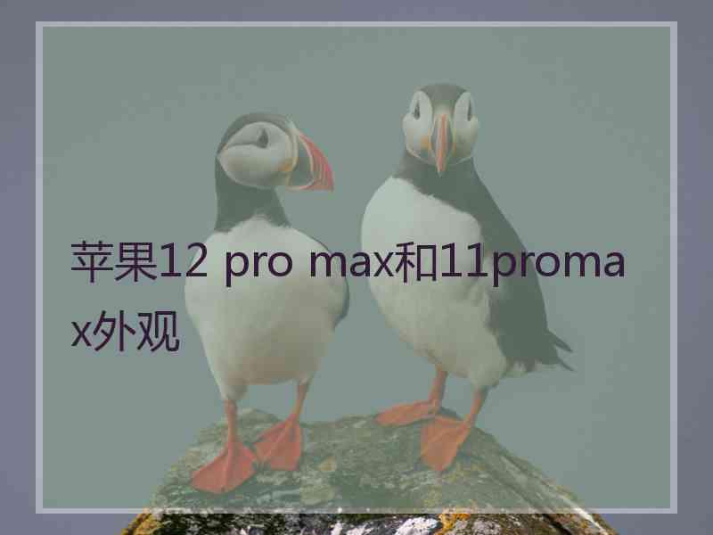 苹果12 pro max和11promax外观