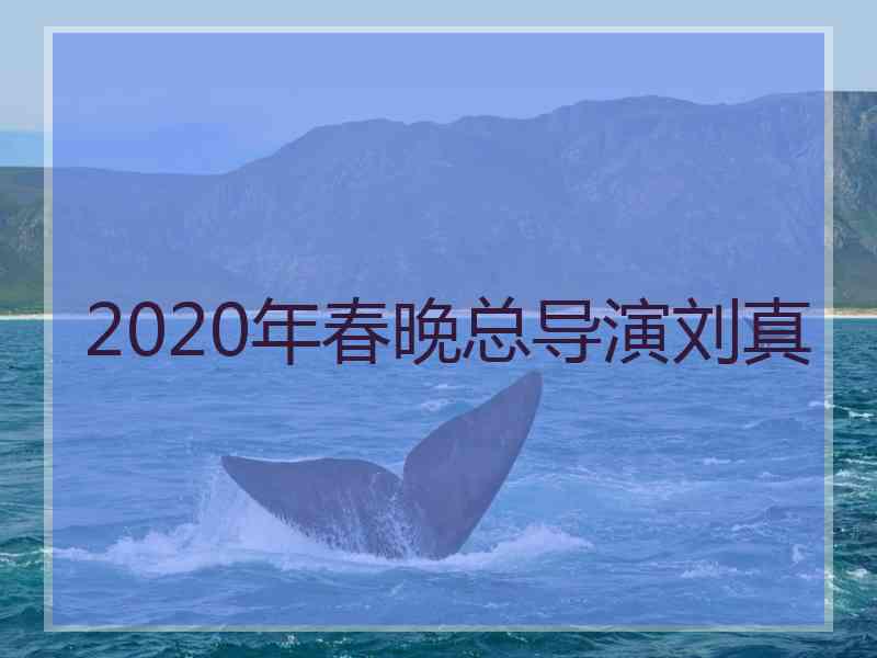 2020年春晚总导演刘真