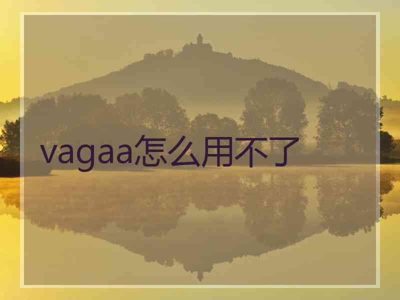 vagaa怎么用不了