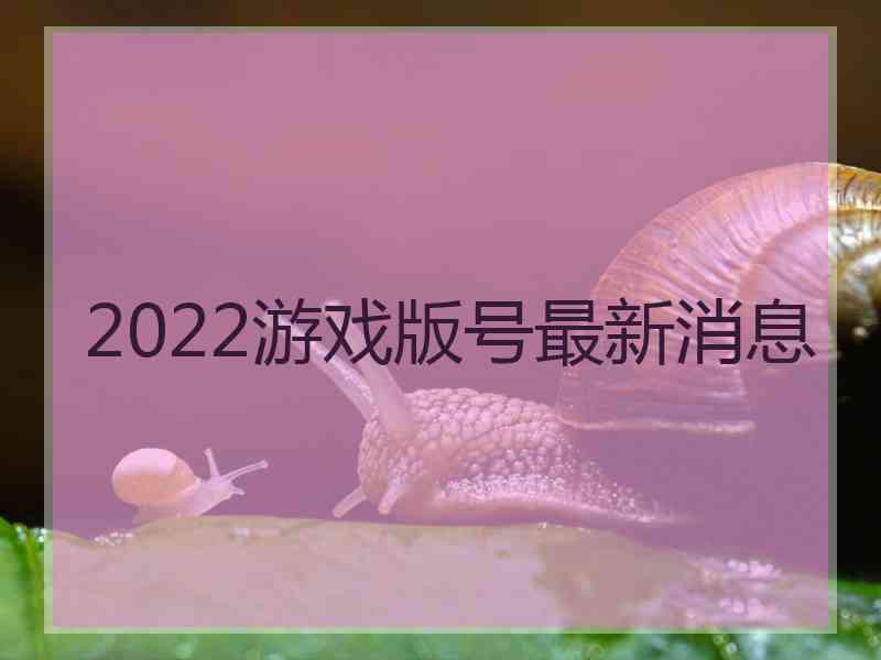 2022游戏版号最新消息