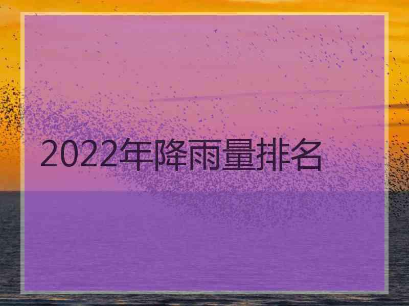 2022年降雨量排名