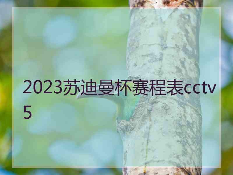 2023苏迪曼杯赛程表cctv5