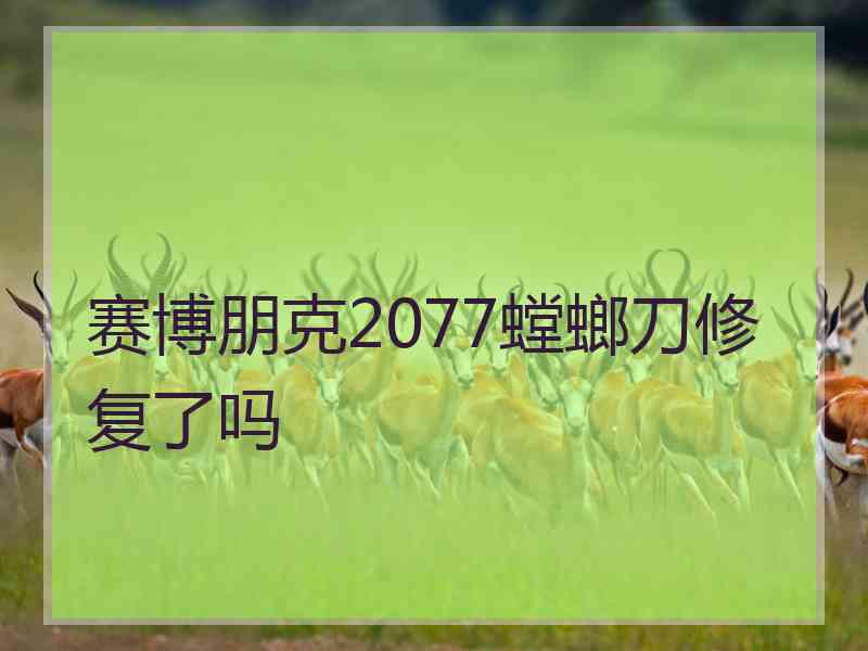 赛博朋克2077螳螂刀修复了吗