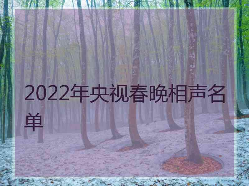 2022年央视春晚相声名单