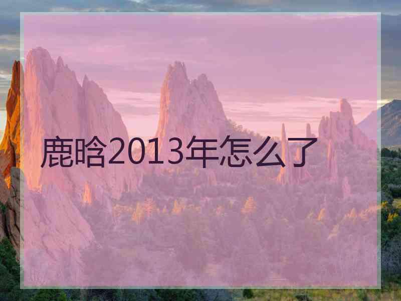 鹿晗2013年怎么了