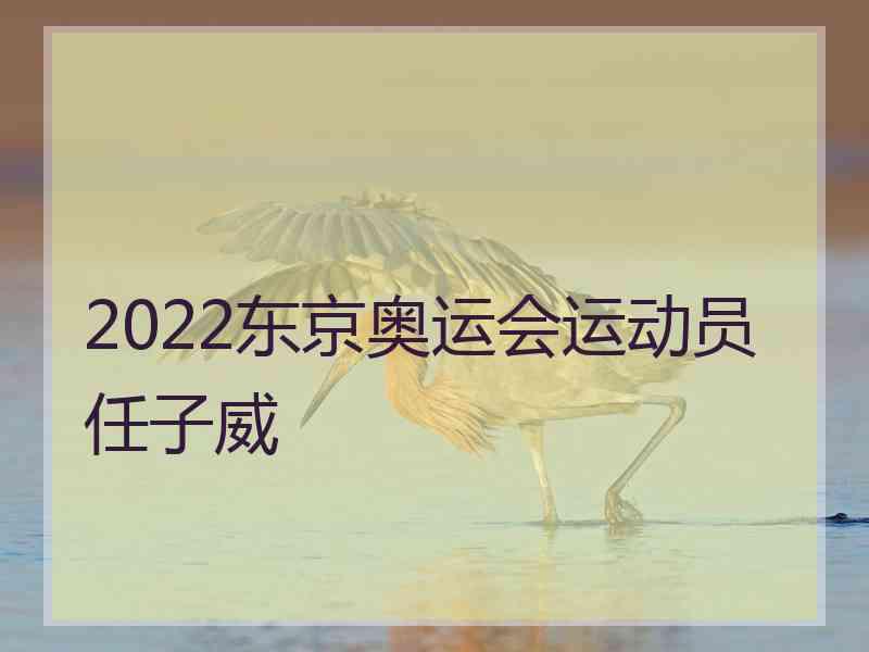 2022东京奥运会运动员任子威