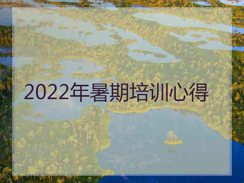 2022年暑期培训心得