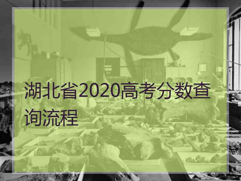 湖北省2020高考分数查询流程