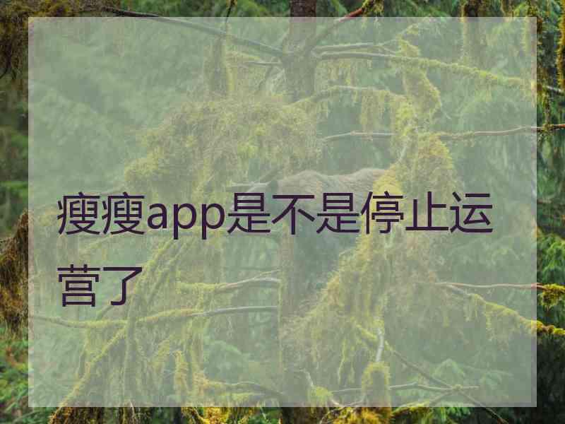 瘦瘦app是不是停止运营了