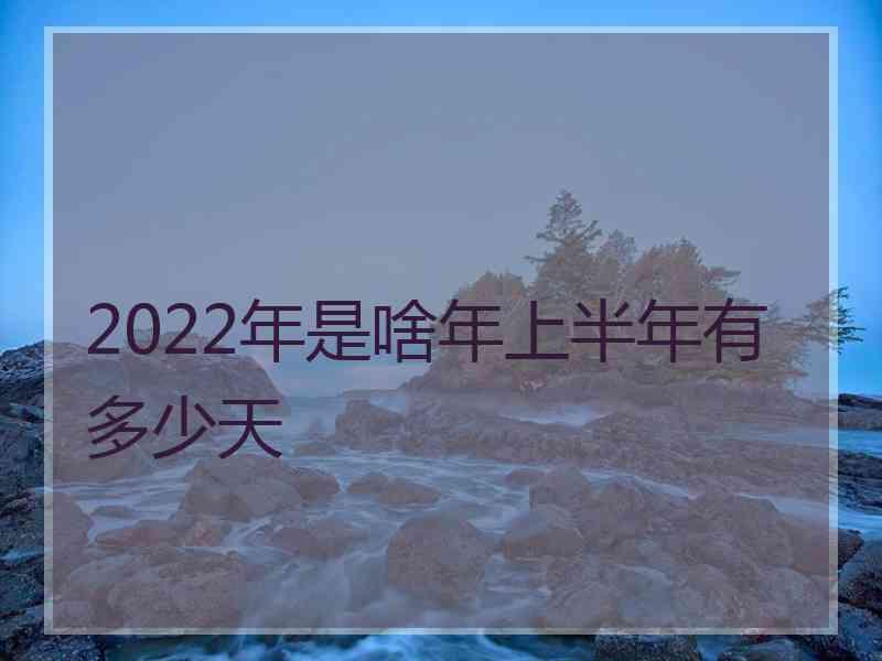 2022年是啥年上半年有多少天