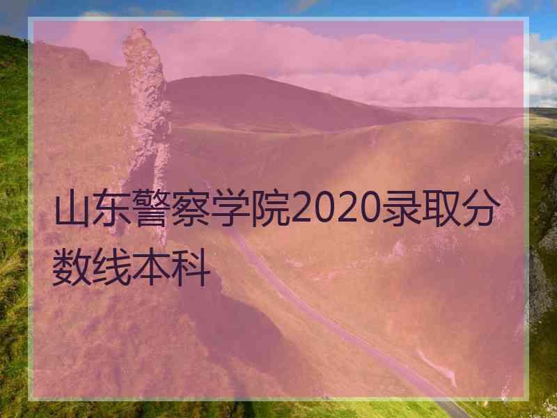 山东警察学院2020录取分数线本科