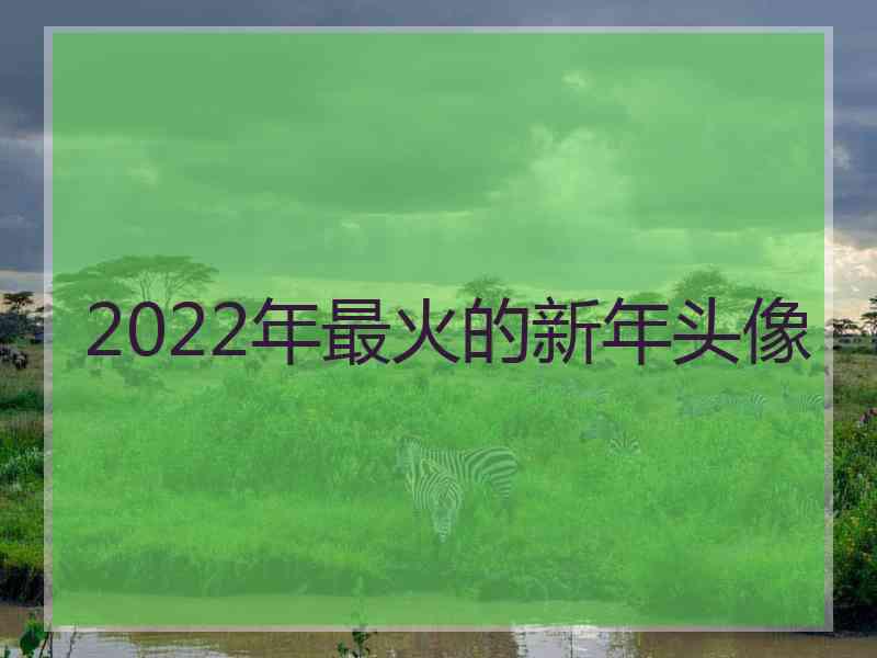 2022年最火的新年头像