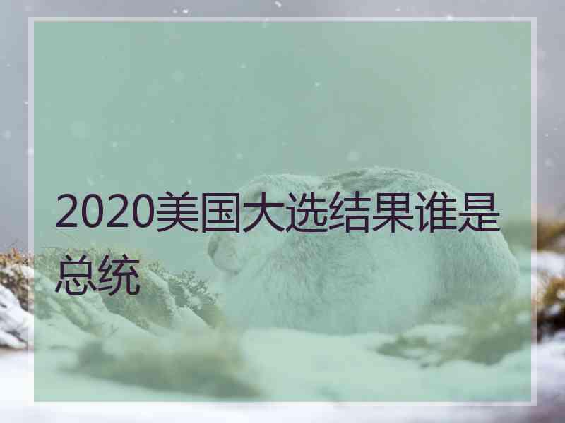 2020美国大选结果谁是总统