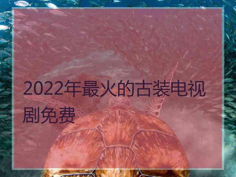 2022年最火的古装电视剧免费