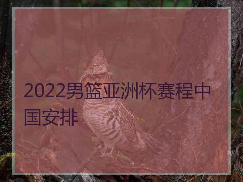 2022男篮亚洲杯赛程中国安排