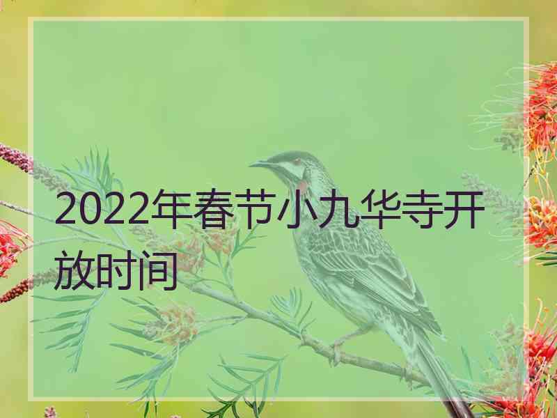 2022年春节小九华寺开放时间