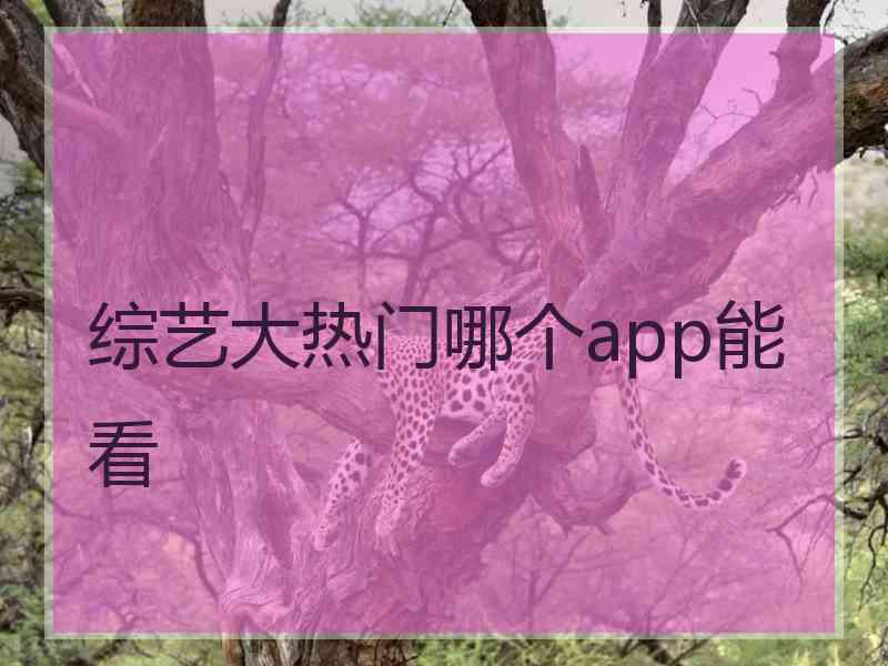 综艺大热门哪个app能看