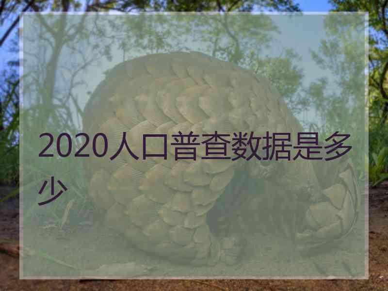 2020人口普查数据是多少