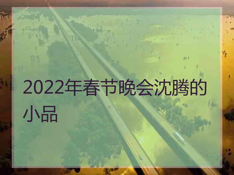 2022年春节晚会沈腾的小品