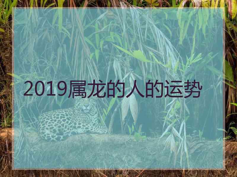 2019属龙的人的运势