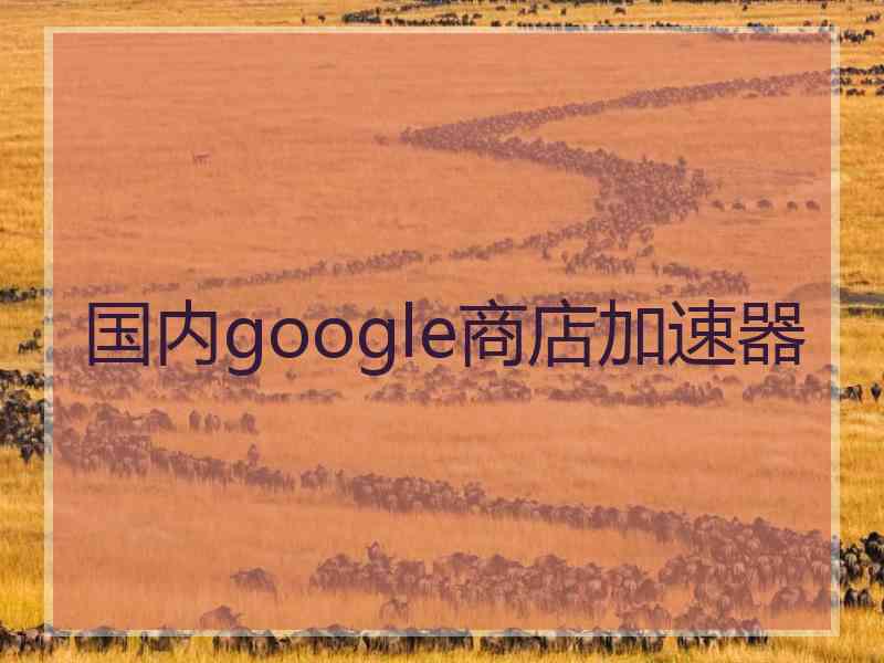 国内google商店加速器