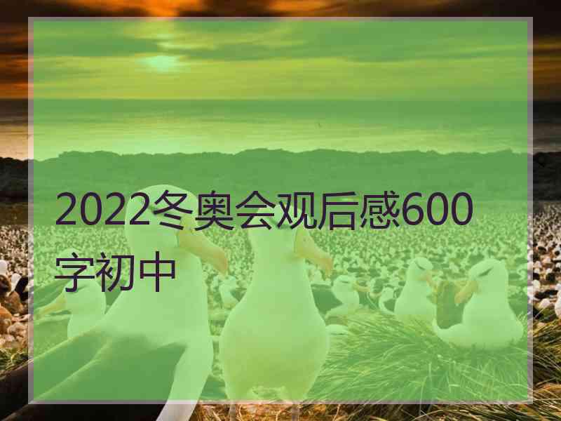 2022冬奥会观后感600字初中